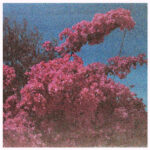 ELISABETH KLINCK - Picture A Frame
