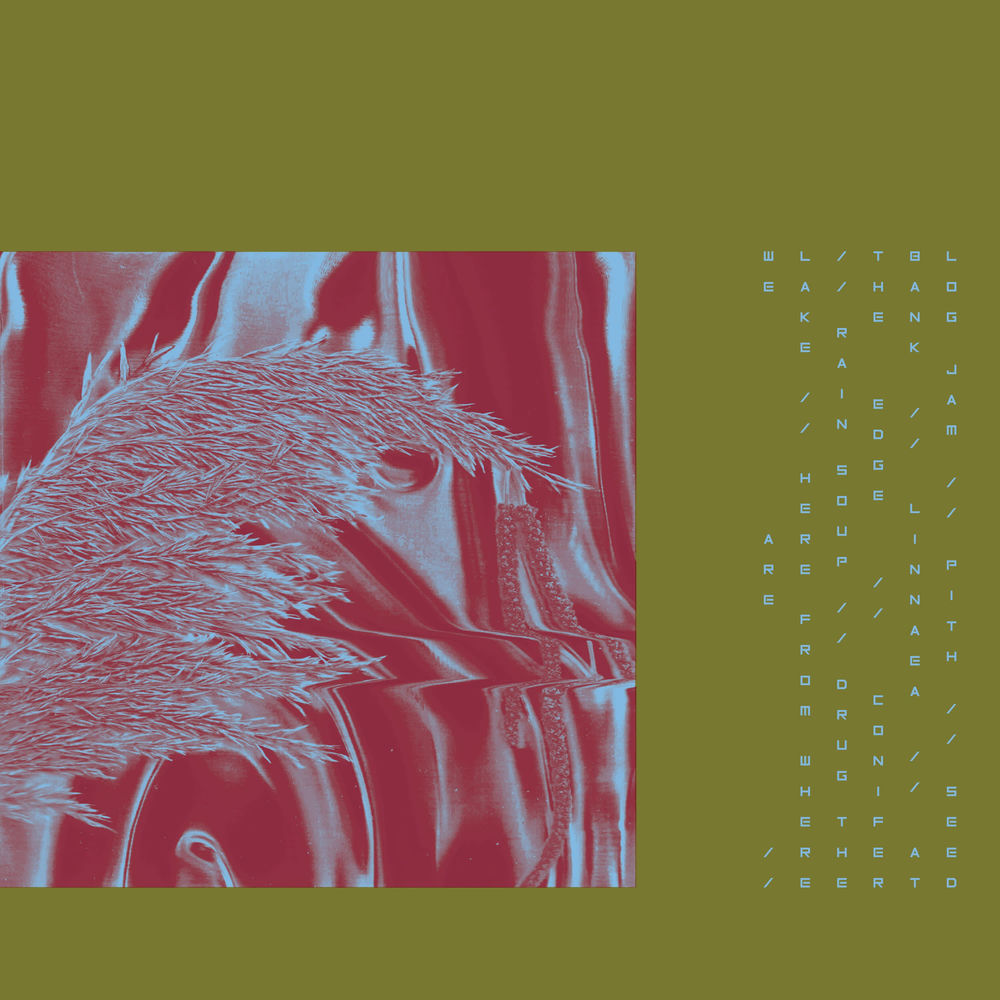 HTH096.jpg PARIAH - HERE FROM WHERE WE ARE - Image 1