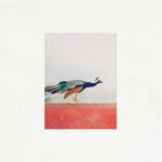 JASON SINGH & THE BANWASI COLL - TRAVELLERS