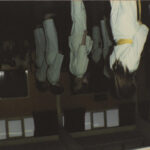 JAWS - CEILINGTHE