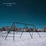 PINEAPPLE THIEF THE - LITTLE MAN