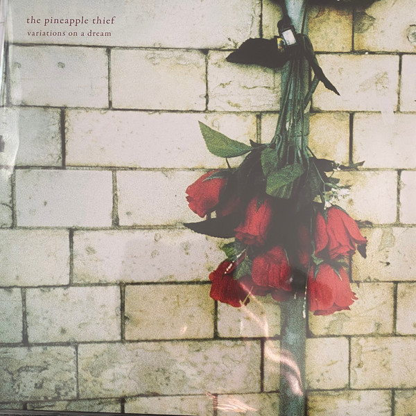 KSCOPE1132.jpg PINEAPPLE THIEF - Variations On A Dream - Image 1