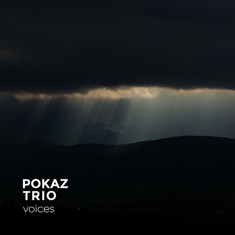 LC28353.jpg POKAZ TRIO - VOICES - Image 1