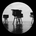 Ely Muff - Human Nature