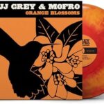 JJ GREY & MOFRO - Orange Blossoms (Sunburst Splash Vinyl)