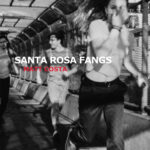 MATT COSTA - Santa Rosa Fangs