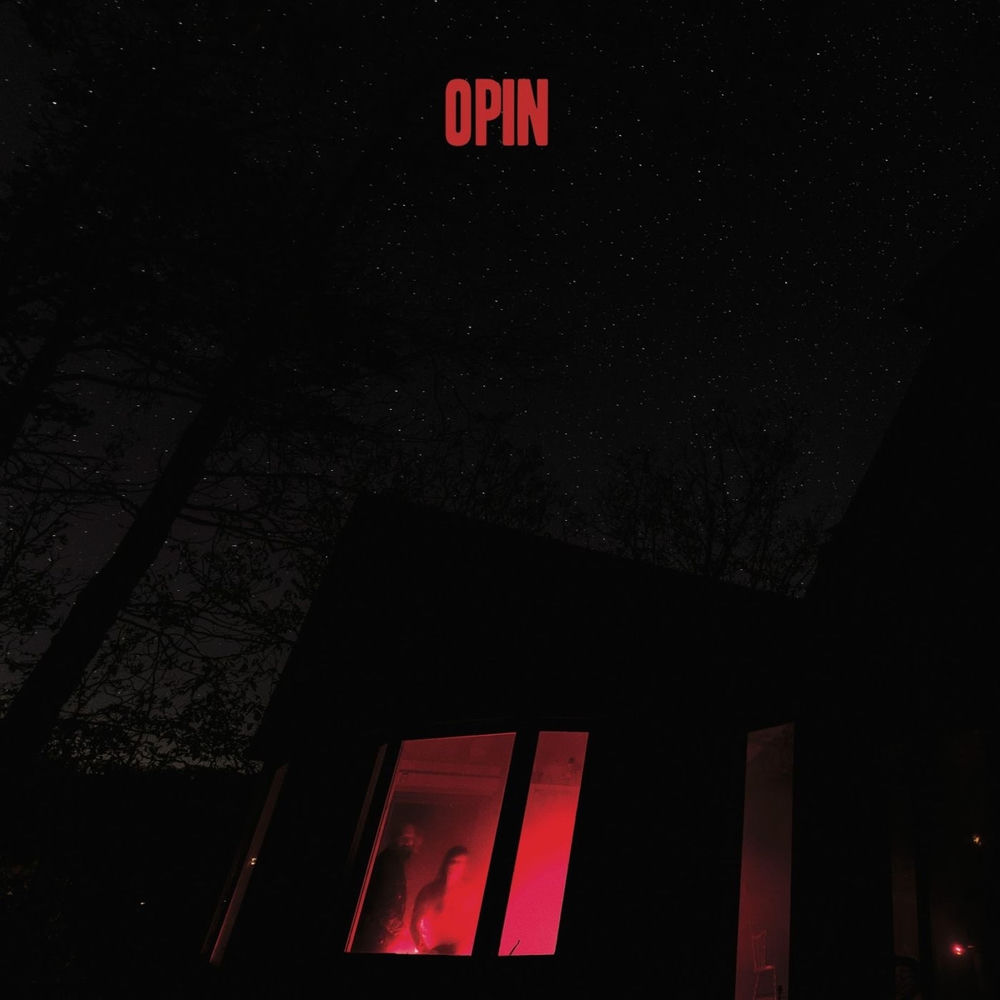 LPEHR019.jpg OPIN - Opin - Image 1
