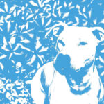 JENNA & THE PUPS & THE HIRS COLLECTIVE - Split