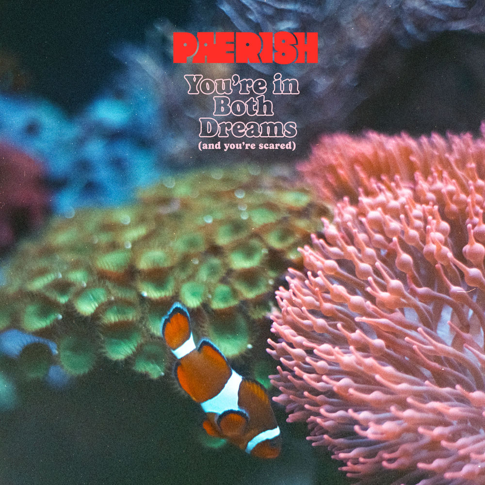 LPSD18211.jpg PAERISH - Youre In Both Dreams (And Youre Scared) - Image 1
