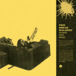 PEEL DREAM MAGAZINE - Modern Meta Physic (Yellow/Black Splatter Vinyl) (Indie Exclusive)