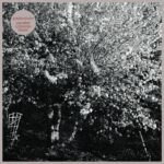 PAPERCUTS - Parallel Universe Blues (White Vinyl)