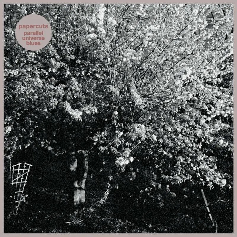 LPSLR236.jpg PAPERCUTS - Parallel Universe Blues (White Vinyl) - Image 1