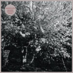 PAPERCUTS - Parallel Universe Blues