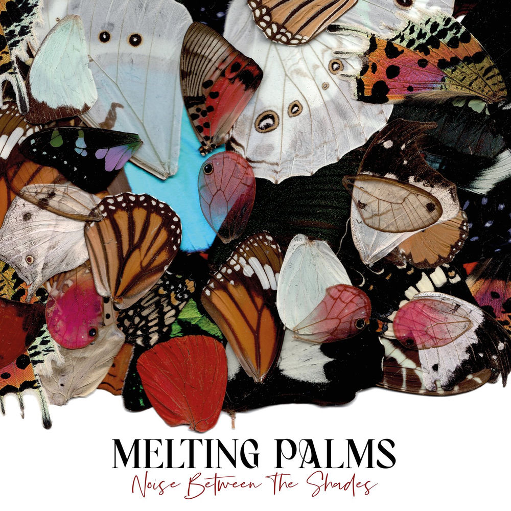 LPSR051LPCOL01.jpg MELTING PALMS - NOISE BETWEEN THE SHADES - Image 1