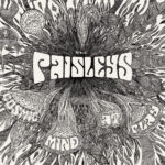 PAISLEYS - Cosmic Mind At Play