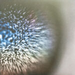 EMPTYSET - Blossoms (Clear Vinyl)