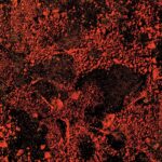 KING GIZZARD & THE LIZARD WIZARD - Murder Of The Universe (Live At Red Rocks 2022) (Translucent White Sparkle Vinyl)