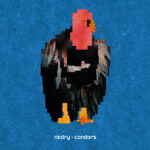 NEDRY - CONDORS