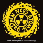 Ned's Atomic Dustbin - Some Furtive Years... (2LP Coloured)