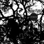 JEFF LIBERMAN - Synergy