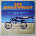 JOE BONAMASSA - DIFFERENT SHADES OF BLUE