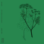 MARK BARROTT - NATURE SOUNDS OF THE BALEARICS