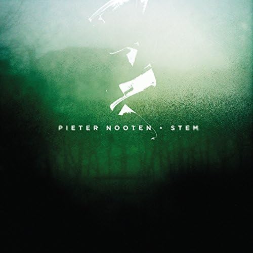 RGIRL115LP.jpg PIETER NOOTEN - STEM - Image 1