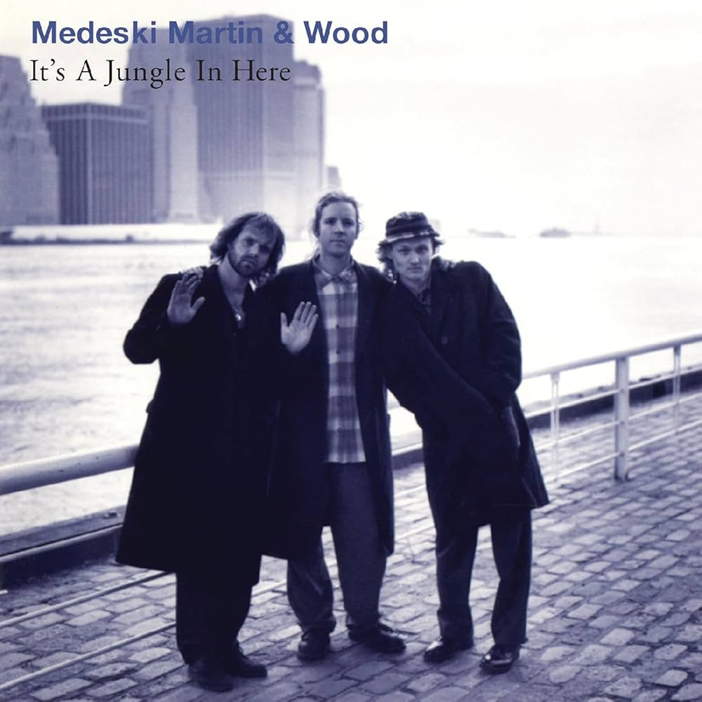 RLGM15111.jpg MEDESKI MARTIN & WOOD - DELETED - ITS A JUNGLE IN HERE - Image 1