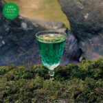 JOHN FRANCIS FLYNN - LOOK OVER THE WALL, SEE THE SK
