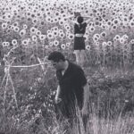 JESU/ SUN KIL MOON - JESU/ SUN KIL MOON
