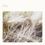 LUKE TEMPLE - A HAND THROUGH THE CELAR DOOR
