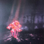 Enter Shikari - A Kiss For The Whole World: Limited Edition Sunset Colour Vinyl LP