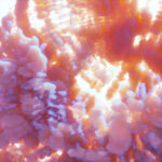 LYNYN - IXONA