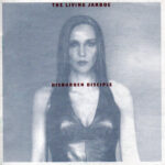 JARBOE - DISBURDEN DISCIPLE