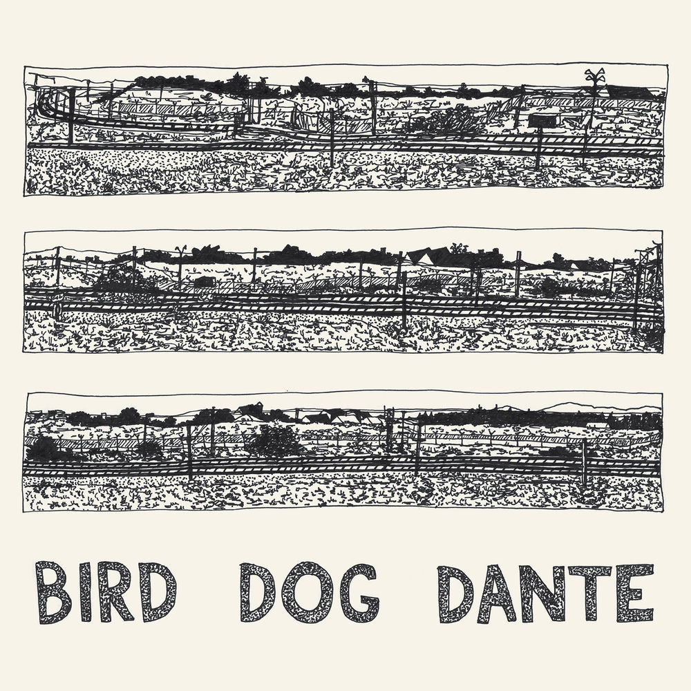 THRILL465LP.jpg JOHN PARISH - Bird Dog Dante - Image 1