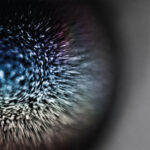 EMPTYSET - Blossoms