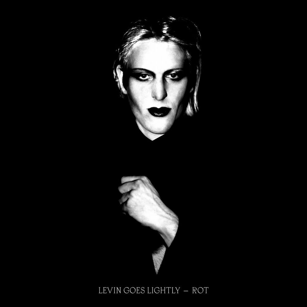 TR491LP.jpg LEVIN GOES LIGHTLY - Rot - Image 1