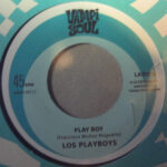 LOS PLAYBOYS / LOS ROGERS - PLAY BOY / DESCARGA ROGERS