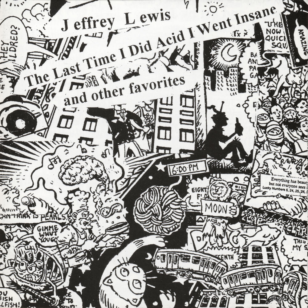 VV001LP.jpg JEFFREY LEWIS - THE LAST TIME I DID ACID I WENT INSANE - Image 1