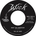 JAY VONS - WANT YOU TOMORROW
