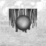 Penumbra Vortex - Phases