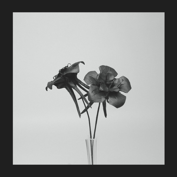 ZIQ384.jpg JLIN - Dark Lotus - Image 1