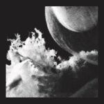JLIN¬† - EMBRYO