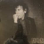 SOUCHON ALAIN - LA VIE THEODORE