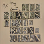 STAVES - DEAD & BORN & GROWN