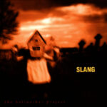 SLANG - BELLWETHER PROJECT