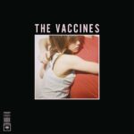 VACCINES - What Did You Expect From The Vaccines