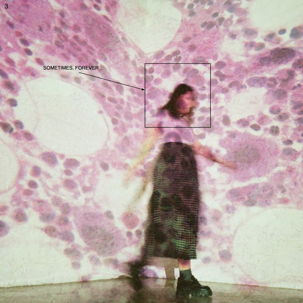 888072421509.jpg SOCCER MOMMY - SOMETIMES FOREVER - Image 1