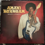 AMANI BURNHAM - ROOTS & WINGS