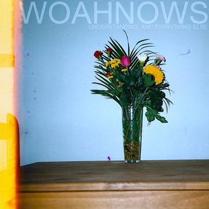 BSM159V.jpg WOAHNOWS - Understanding And Everything Else - Image 1